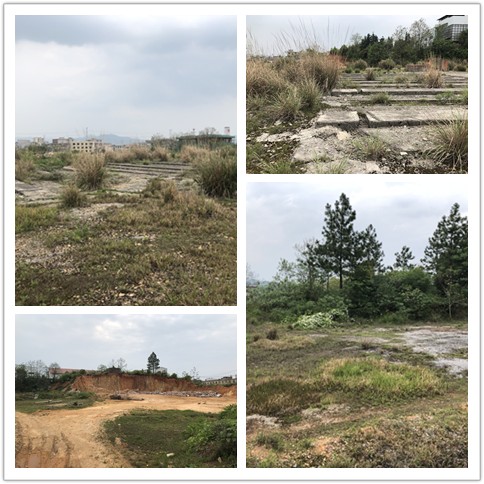 123456.jpg 123456.jpg