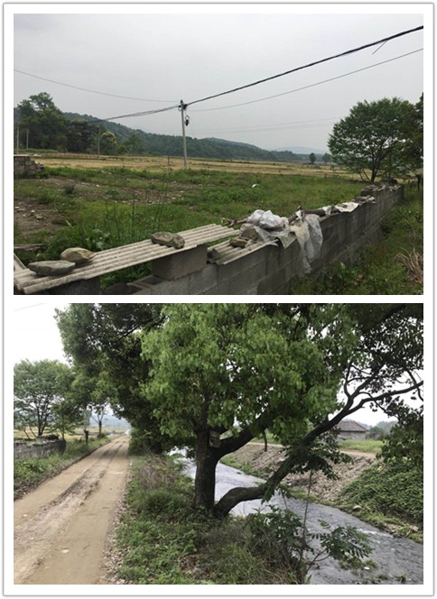 項目現(xiàn)場照片.jpg 項目現(xiàn)場照片.jpg