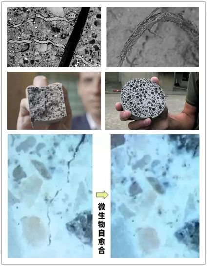 自愈混凝土_副本.jpg 自愈混凝土_副本.jpg
